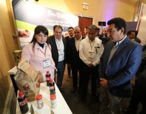 74214380_1441076812737430_5495151595689607168_o