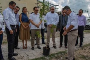 74490730_1435471449964633_910608348938764288_n