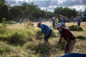 1378C816-3CF7-4E81-99C4-B65CC6985501