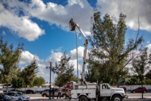 E862292D-A487-4B2B-9BA5-7B4114308547