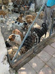 6723-Whb9FKtq-jgbl-5KmM-uRiQ-jzPbkRSFVqqp