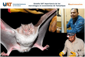 C0430382-60E3-465D-95C6-6D141EE21E01