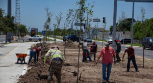 co1sm-0-mat-pren1211as1saa121111