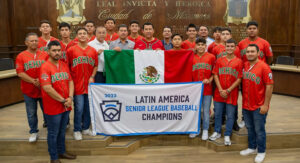 21baddfes231111v12y34