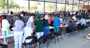 3243-vitaa11122A11111111111b1111