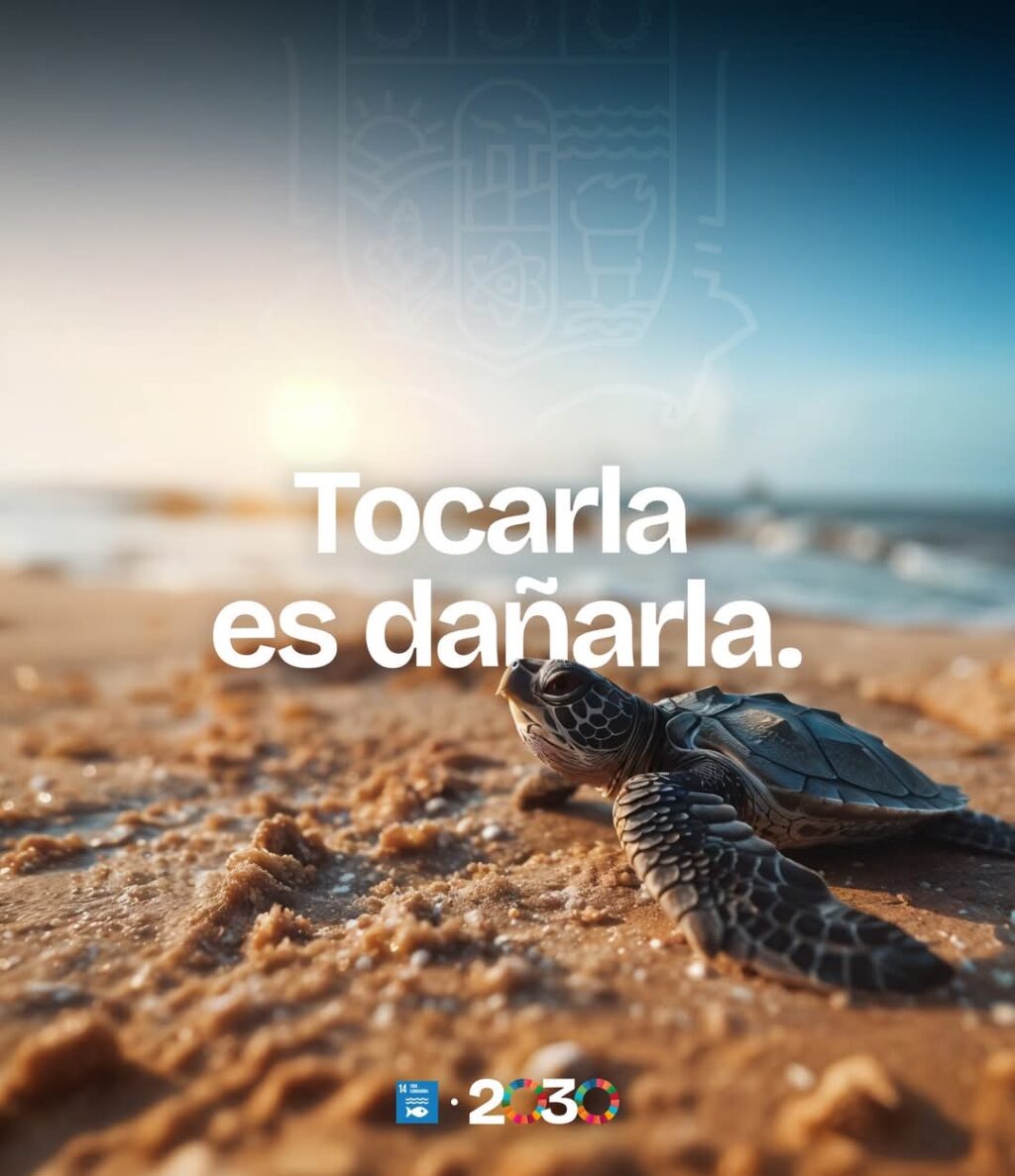 9197a445-aee9-48b8-a448-f71a81625ed5