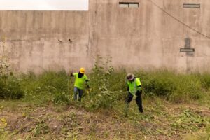 9c1555ac-0862-47db-81f1-848eb43c7fb8