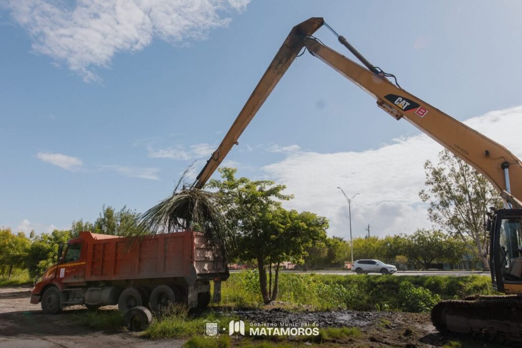 15a4a838-4b56-4819-ab5d-4f83c53022fa