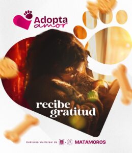 ab447c3e-e151-4697-90ff-e381190bcc38