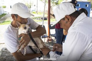 cef0f4a0-39cc-4c1d-b59f-de40bafb317c