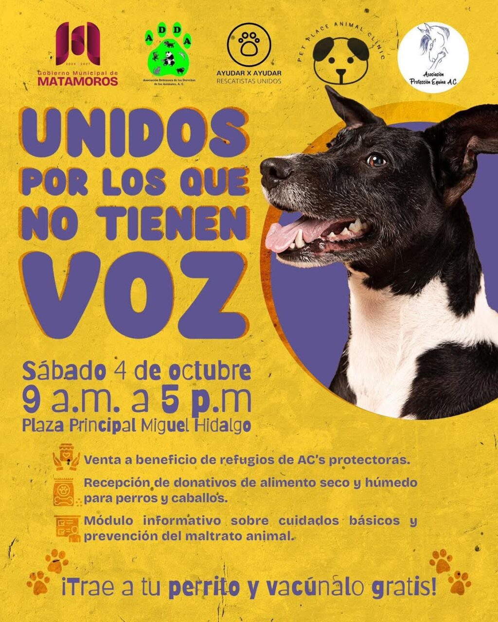 5a64956c-5288-4458-b559-035c26ef21e1