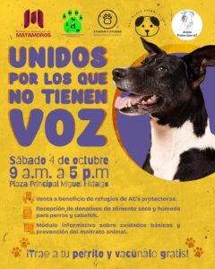 5a64956c-5288-4458-b559-035c26ef21e1