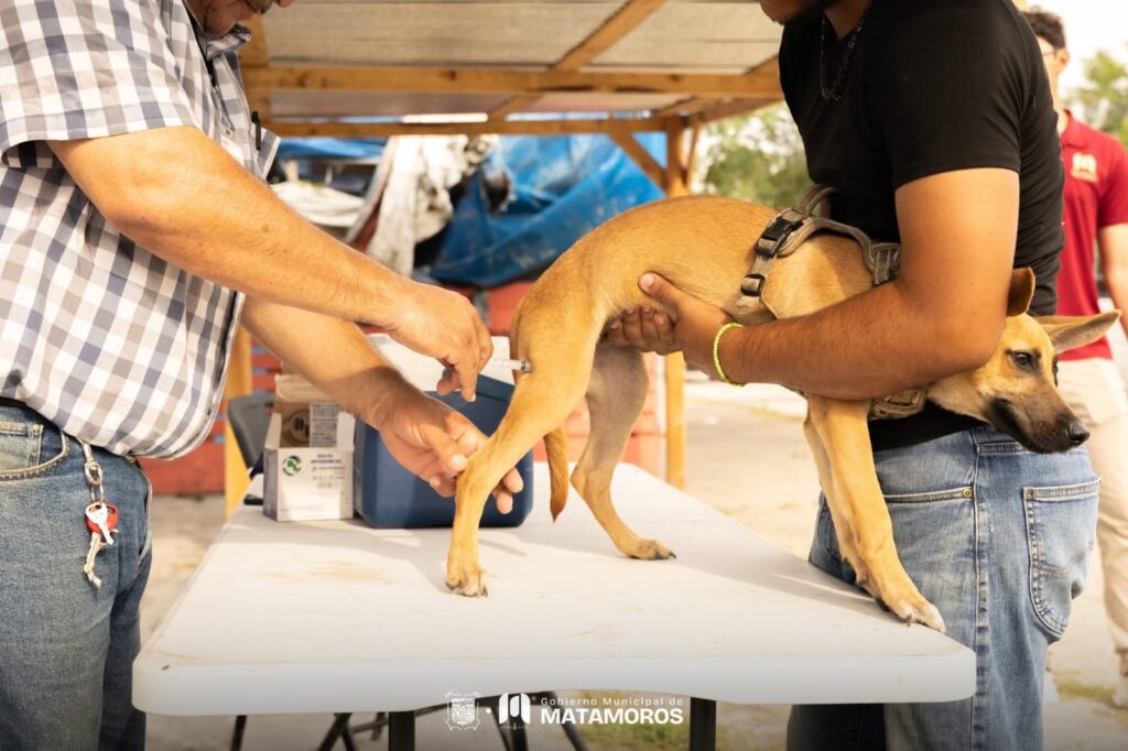 dc918501-836c-4057-8700-c6986ea9dd22