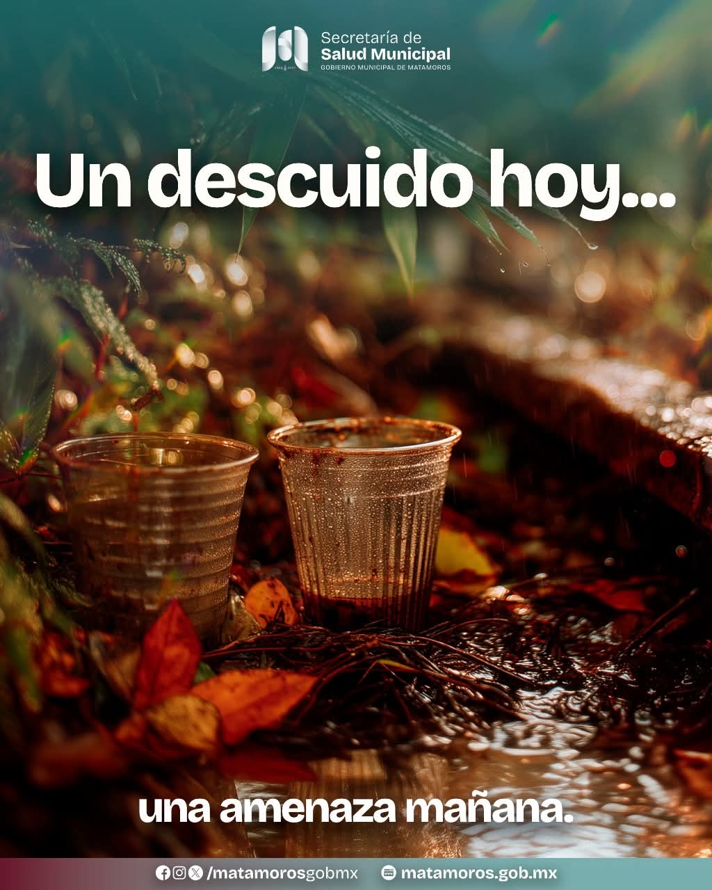 34b1f1aa-7633-47c1-a24f-bb1ace5952c3