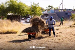 8df027aa-972c-4b31-83c2-b631752761ca